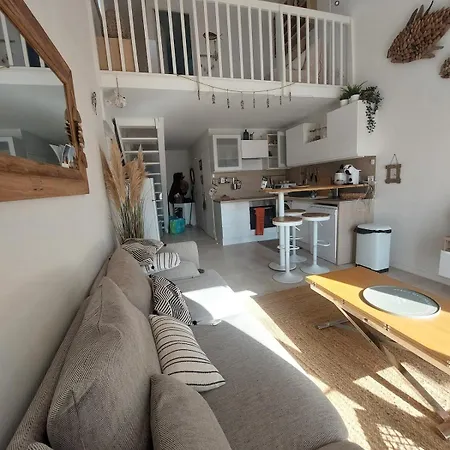 Magnifique Duplex Climatisé, 3 Chambres, Résidence Camargue Village, Bord De Mer,
