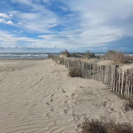Apartamento Magnifique Duplex Climatisé, 3 Chambres, Résidence Camargue Village, Bord De Mer, *